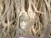 img 01 1