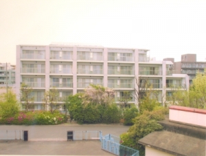 AP等々力緑地